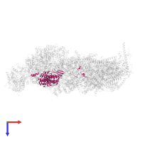 NADH dehydrogenase [ubiquinone] iron-sulfur protein 2, mitochondrial in PDB entry 8q45, assembly 1, top view.