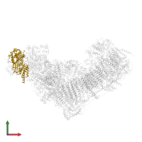 NADH dehydrogenase [ubiquinone] flavoprotein 1, mitochondrial in PDB entry 8q45, assembly 1, front view.