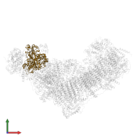 NADH-ubiquinone oxidoreductase 75 kDa subunit, mitochondrial in PDB entry 8q45, assembly 1, front view.