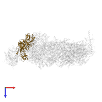 NADH-ubiquinone oxidoreductase 75 kDa subunit, mitochondrial in PDB entry 8q45, assembly 1, top view.