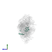 NADH dehydrogenase [ubiquinone] iron-sulfur protein 8, mitochondrial in PDB entry 8q45, assembly 1, side view.