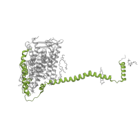 The deposited structure of PDB entry 8q47 contains 1 copy of Pfam domain PF06455 (NADH dehydrogenase subunit 5 C-terminus) in NADH-ubiquinone oxidoreductase chain 5. Showing 1 copy in chain L.