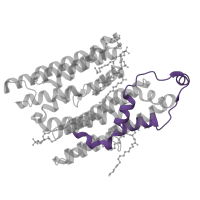 The deposited structure of PDB entry 8q47 contains 1 copy of Pfam domain PF06444 (NADH dehydrogenase subunit 2 C-terminus) in NADH-ubiquinone oxidoreductase chain 2. Showing 1 copy in chain N.