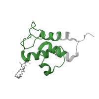 The deposited structure of PDB entry 8q47 contains 2 copies of Pfam domain PF00550 (Phosphopantetheine attachment site) in Acyl carrier protein, mitochondrial. Showing 1 copy in chain T.