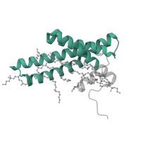 The deposited structure of PDB entry 8q47 contains 1 copy of Pfam domain PF02466 (Tim17/Tim22/Tim23/Pmp24 family) in NADH dehydrogenase [ubiquinone] 1 alpha subcomplex subunit 11. Showing 1 copy in chain Y.