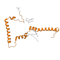 The deposited structure of PDB entry 8q47 contains 1 copy of Pfam domain PF07225 (NADH-ubiquinone oxidoreductase B15 subunit (NDUFB4)) in NADH dehydrogenase [ubiquinone] 1 beta subcomplex subunit 4. Showing 1 copy in chain MA [auth m].