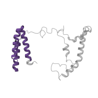 The deposited structure of PDB entry 8q47 contains 1 copy of Pfam domain PF05347 (Complex 1 protein (LYR family)) in NADH dehydrogenase [ubiquinone] 1 beta subcomplex subunit 9. Showing 1 copy in chain NA [auth n].