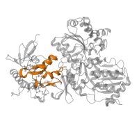 The deposited structure of PDB entry 8q47 contains 1 copy of Pfam domain PF22117 (NADH-quinone oxidoreductase subunit 3, ferredoxin-like domain) in NADH-ubiquinone oxidoreductase 75 kDa subunit, mitochondrial. Showing 1 copy in chain G.