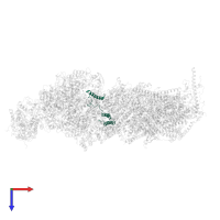 NADH-ubiquinone oxidoreductase chain 3 in PDB entry 8q47, assembly 1, top view.