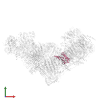 NADH dehydrogenase [ubiquinone] 1 alpha subcomplex subunit 11 in PDB entry 8q47, assembly 1, front view.