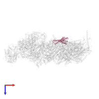 NADH dehydrogenase [ubiquinone] 1 alpha subcomplex subunit 11 in PDB entry 8q47, assembly 1, top view.