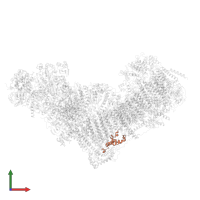 NADH dehydrogenase [ubiquinone] iron-sulfur protein 5 in PDB entry 8q47, assembly 1, front view.