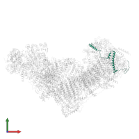 NADH dehydrogenase [ubiquinone] 1 beta subcomplex subunit 6 in PDB entry 8q47, assembly 1, front view.