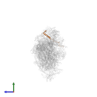 NADH dehydrogenase [ubiquinone] 1 beta subcomplex subunit 2, mitochondrial in PDB entry 8q47, assembly 1, side view.