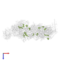 1,2-DIACYL-SN-GLYCERO-3-PHOSPHOCHOLINE in PDB entry 8q47, assembly 1, top view.