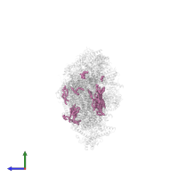 1,2-Distearoyl-sn-glycerophosphoethanolamine in PDB entry 8q47, assembly 1, side view.