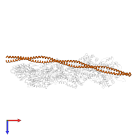 Tropomyosin alpha-1 chain in PDB entry 8q4g, assembly 1, top view.