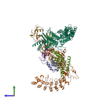 PDB entry 8q7r coloured by chain, side view.