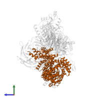 Superkiller protein 3 in PDB entry 8qca, assembly 1, side view.