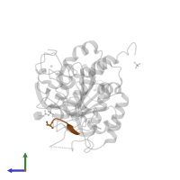 Peptidomimetic Inhibitor (MH-13) in PDB entry 8qke, assembly 1, side view.