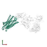 Mu-type opioid receptor in PDB entry 8qot, assembly 1, front view.