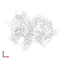 U5 small nuclear ribonucleoprotein 200 kDa helicase in PDB entry 8qpa, assembly 1, front view.