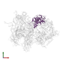 Ubiquitin carboxyl-terminal hydrolase 39 in PDB entry 8qpa, assembly 1, front view.