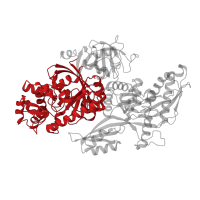 The deposited structure of PDB entry 8qpb contains 1 copy of Pfam domain PF00009 (Elongation factor Tu GTP binding domain) in 116 kDa U5 small nuclear ribonucleoprotein component. Showing 1 copy in chain J [auth C].