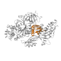 The deposited structure of PDB entry 8qpb contains 1 copy of Pfam domain PF14492 (Elongation Factor G, domain III) in 116 kDa U5 small nuclear ribonucleoprotein component. Showing 1 copy in chain J [auth C].