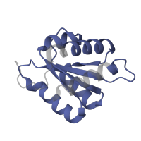 The deposited structure of PDB entry 8qpb contains 1 copy of Pfam domain PF01248 (Ribosomal protein L7Ae/L30e/S12e/Gadd45 family) in NHP2-like protein 1. Showing 1 copy in chain K [auth M].