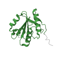 The deposited structure of PDB entry 8qpb contains 1 copy of Pfam domain PF02966 (Mitosis protein DIM1) in Thioredoxin-like protein 4A. Showing 1 copy in chain L [auth D].
