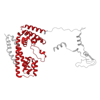 The deposited structure of PDB entry 8qpb contains 1 copy of Pfam domain PF01798 (snoRNA binding domain, fibrillarin) in U4/U6 small nuclear ribonucleoprotein Prp31. Showing 1 copy in chain D [auth L].