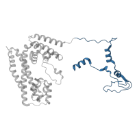 The deposited structure of PDB entry 8qpb contains 1 copy of Pfam domain PF09785 (Prp31 C terminal domain) in U4/U6 small nuclear ribonucleoprotein Prp31. Showing 1 copy in chain D [auth L].