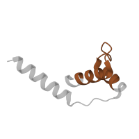 The deposited structure of PDB entry 8qpb contains 1 copy of Pfam domain PF08799 (pre-mRNA processing factor 4 (PRP4) like) in U4/U6 small nuclear ribonucleoprotein Prp4. Showing 1 copy in chain E [auth F].