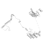 The deposited structure of PDB entry 8qpb contains 1 copy of Pfam domain PF14559 (Tetratricopeptide repeat) in Pre-mRNA-processing factor 6. Showing 1 copy in chain F [auth N] (this domain is out of the observed residue ranges!).