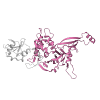 The deposited structure of PDB entry 8qpb contains 1 copy of Pfam domain PF00443 (Ubiquitin carboxyl-terminal hydrolase) in Ubiquitin carboxyl-terminal hydrolase 39. Showing 1 copy in chain H [auth U].