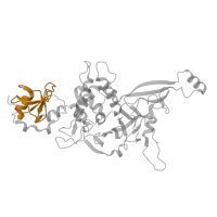 The deposited structure of PDB entry 8qpb contains 1 copy of Pfam domain PF02148 (Zn-finger in ubiquitin-hydrolases and other protein) in Ubiquitin carboxyl-terminal hydrolase 39. Showing 1 copy in chain H [auth U].