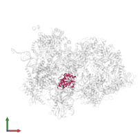 Thioredoxin-like protein 4A in PDB entry 8qpb, assembly 1, front view.