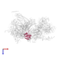 Thioredoxin-like protein 4A in PDB entry 8qpb, assembly 1, top view.