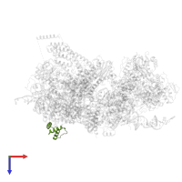 U4/U6 small nuclear ribonucleoprotein Prp4 in PDB entry 8qpb, assembly 1, top view.