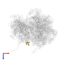 Small ribosomal subunit protein bS6 in PDB entry 8qpp, assembly 1, top view.