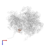 Small ribosomal subunit protein uS15 in PDB entry 8qpp, assembly 1, top view.