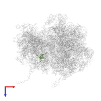 Small ribosomal subunit protein uS17 in PDB entry 8qpp, assembly 1, top view.