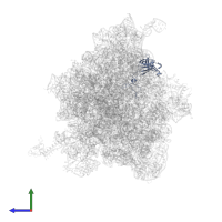 Large ribosomal subunit protein uL3 in PDB entry 8qpp, assembly 1, side view.