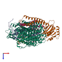 Hetero tetrameric assembly 1 of PDB entry 8qqk coloured by chemically distinct molecules, top view.