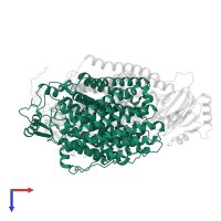 Cytochrome bo(3) ubiquinol oxidase subunit 1 in PDB entry 8qqk, assembly 1, top view.