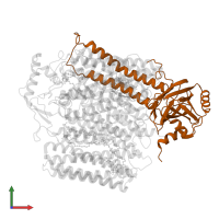Cytochrome bo(3) ubiquinol oxidase subunit 2 in PDB entry 8qqk, assembly 1, front view.