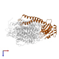 Cytochrome bo(3) ubiquinol oxidase subunit 2 in PDB entry 8qqk, assembly 1, top view.