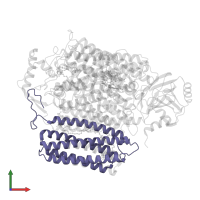 Cytochrome bo(3) ubiquinol oxidase subunit 3 in PDB entry 8qqk, assembly 1, front view.