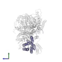 Cytochrome bo(3) ubiquinol oxidase subunit 3 in PDB entry 8qqk, assembly 1, side view.